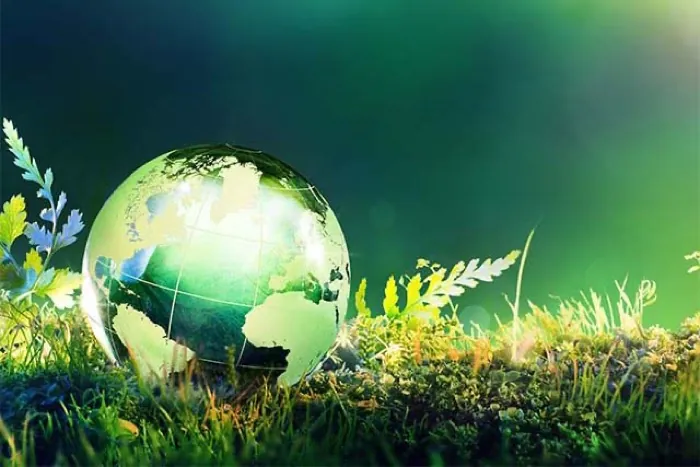 World Environment Day